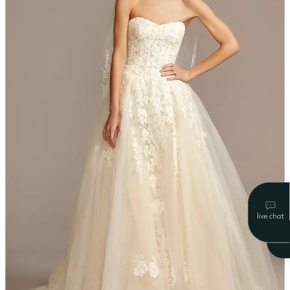 Sheer Lace and Tulle Ball Gown Wedding Dress